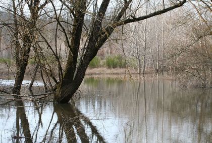 Lago di Calcione: approvato il regolamento comunale e ordinata la rimozione delle barche abbandonate