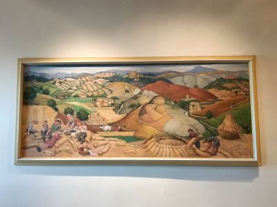 allestimento Museo dell'Antica Grancia e dell'Olio (10)