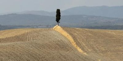 Lauretana antica senese