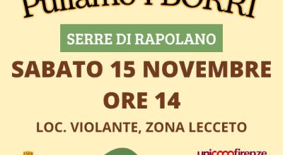 Puliamo i Borri_15 novembre