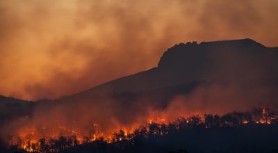 incendi in natura 