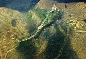 mostra Stanze della Memoria