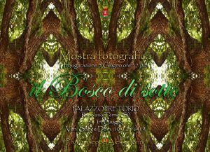 mostra fotografica Il Bosco di sotto_Palazzo Pretorio
