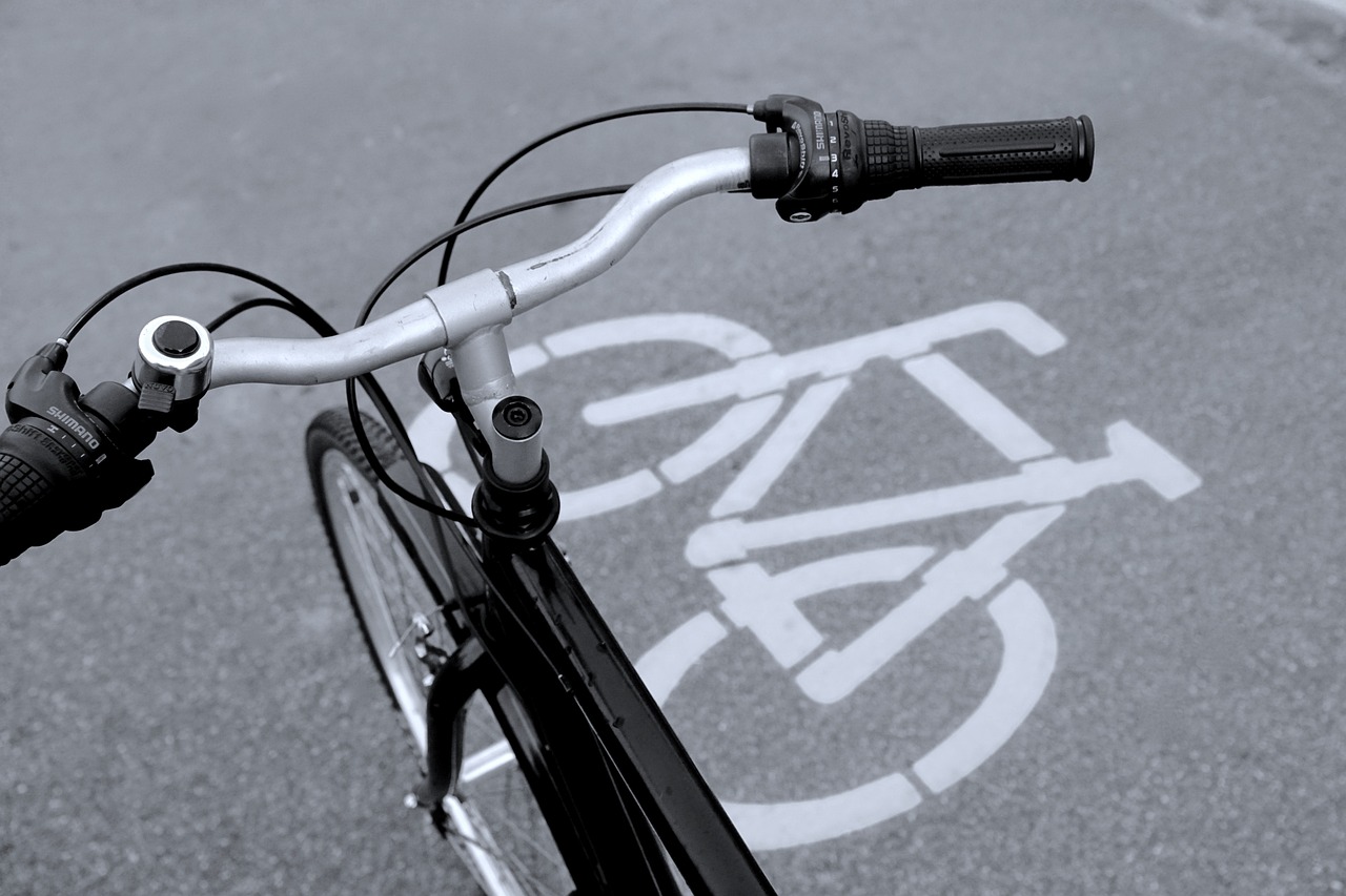 Pista ciclabile Pista ciclabile